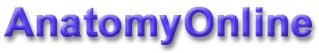 anatomyonline